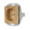 Eicheoptik