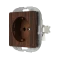 Walnussoptik