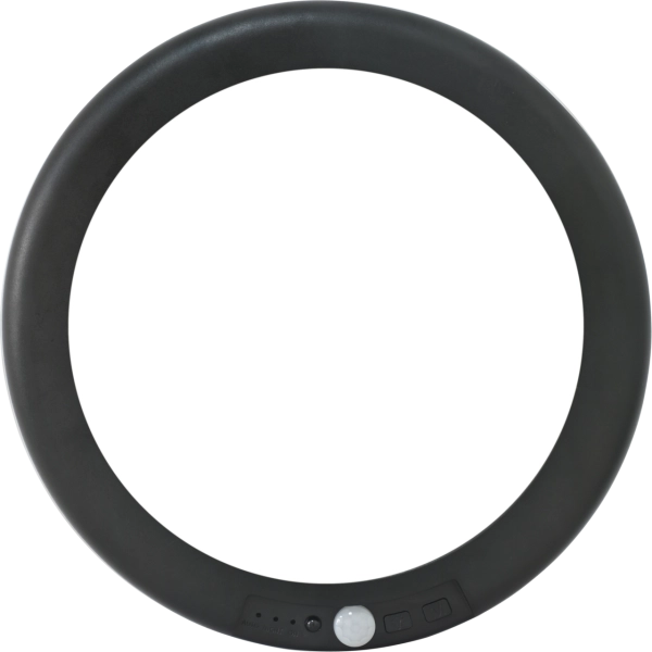 LED-Akku Wand- und Deckenleuchte mit Sensor 160 lm